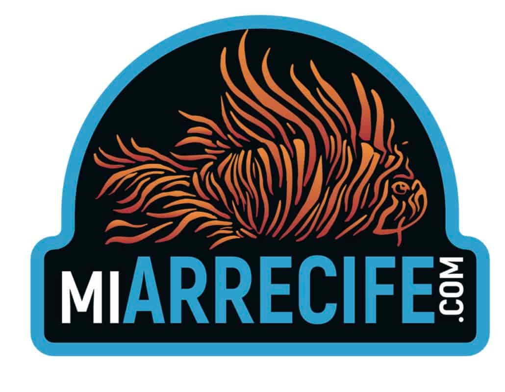 Mi Arrecife