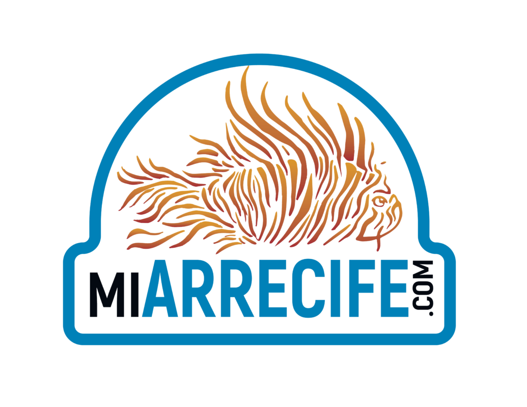 Mi Arrecife