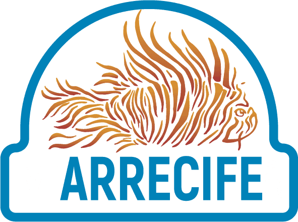 Mi Arrecife