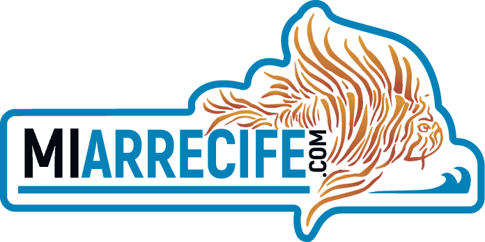 Mi Arrecife
