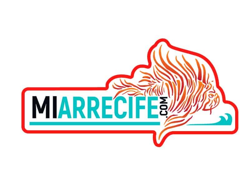 Mi Arrecife