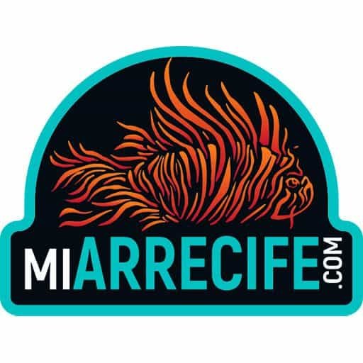 Mi Arrecife
