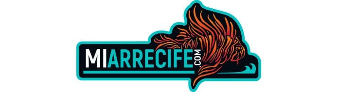 Mi Arrecife