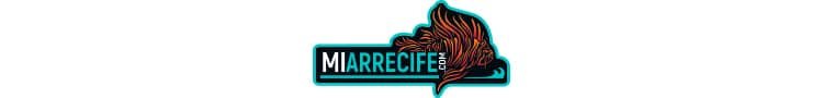 Mi Arrecife