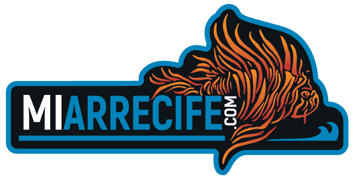 Mi Arrecife